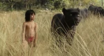 The Jungle Book 2016 (film) 24.png (4.52 MB)