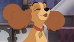 Collette (Lady and the Tramp II: Scamp's Adventure)