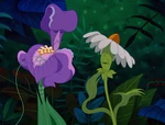 Alice-in-wonderland-disneyscreencaps.com-3368