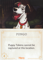 Pongo