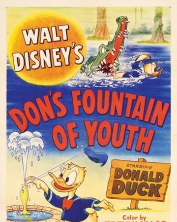 Don S Fountain Of Youth Disney Wiki Fandom