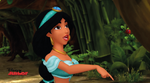 Jasmine