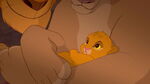 Baby Simba in Sarabi's paws