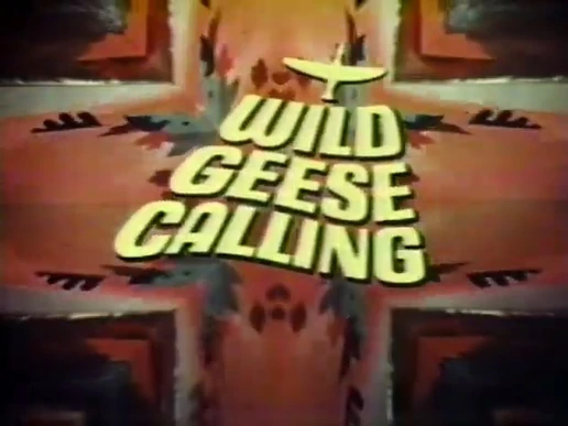 Wild geese calling title