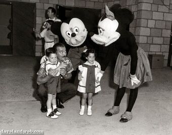 mickey and minnie mouse costumes