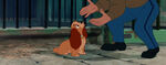 Lady-tramp-disneyscreencaps.com-7019