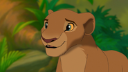 Adult Nala