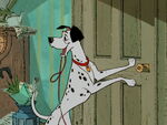 Pongo barks at Roger to take him for a walk