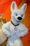 Bolt as he appears at the Disney parks.
