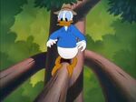 Donald Duck - Out On A Limb 195024