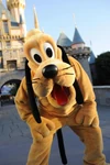 Pluto in Disneyland