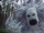Marshmallow (Once Upon a Time)