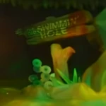 The Old Swimmin' Hole sign.