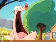Mr. Pig screaming in pain