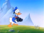 Donald With A Camera