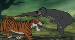 Baloo fighting Shere Khan