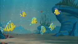 Flounder, Disney Wiki