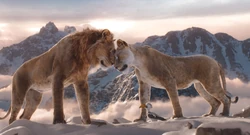 Mufasa and Sarabi form a romantic connection.