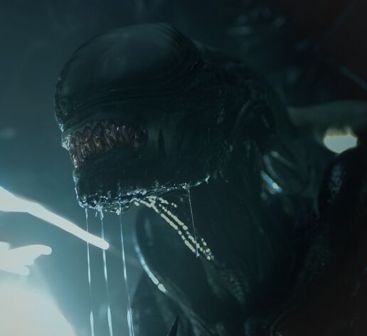 Profile - Xenomorph
