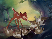 Bambi-disneyscreencaps.com-1299