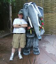 Colonel Hathi