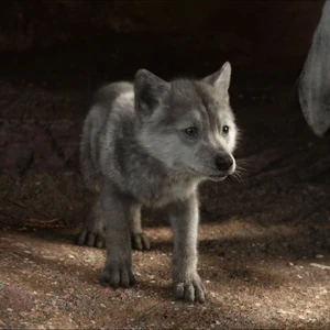 Grey Brother Disney Wiki Fandom Action, adventure, drama, family, fantasy. grey brother disney wiki fandom