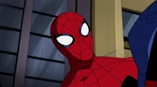 Spider-Man (The Avengers: Earth's Mightiest Heroes)