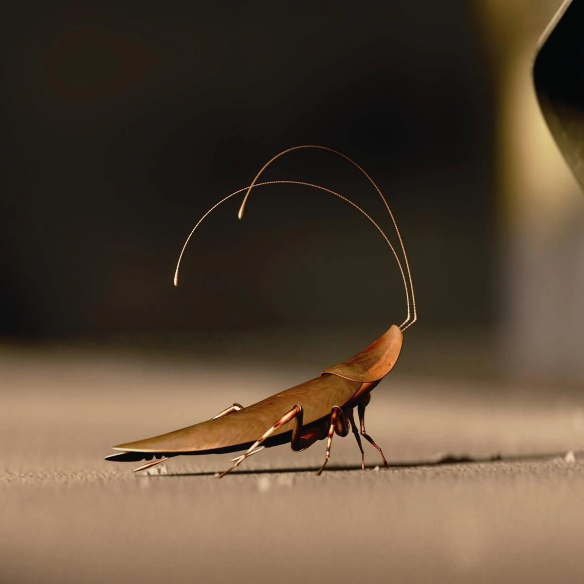 Hal | Disney Wiki | Fandom