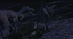 Dinosaur - Velociraptors feast on dead Struthomimus.jpg (219 KB) The three remaining pack of Velociraptors start feasting on the dead Struthiomimus.
