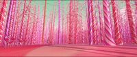 Candy Cane Forest