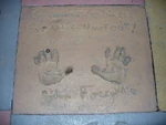 JohnForsytheHandPrints.jpg (103 KB) John Forsythe's handprints at Disney's Hollywood Studios outside the former Great Movie Ride.