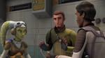 Hera being told about Zeb's bet on Chopper