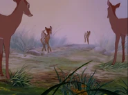 La madre de Ena y Bambi miran jugar a sus hijos.