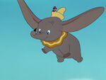 Dumbo flies.