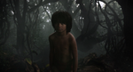 Jungle Book 2016 49