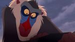 Lion-king-disneyscreencaps.com-284.jpg (8 KB)