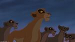 Lion2-disneyscreencaps.com-8459