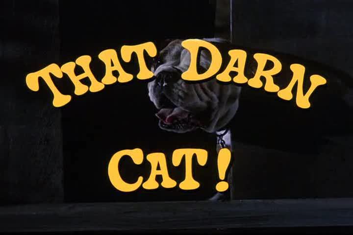 That_Darn_Cat_Title.jpg
