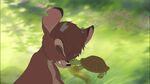 Bambi2-disneyscreencaps.com-7319.jpg (247 KB) Ronno's defeat with his nose bitten by a turtle.