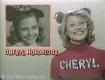Holdridge in The Mouseketeer Reunion.