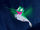 Flit.jpg