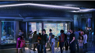 The Xandar Gallery