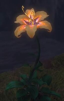 Magic Golden Flower