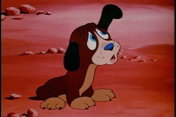 Disney st bernard top