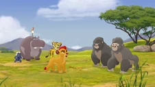 The-lost-gorillas (119)