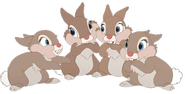 Thumper's sisters | Disney Wiki | Fandom