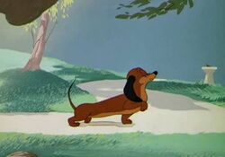 Dinah the Dachshund | Disney Wiki | Fandom Dinah the Dachshund | Disney Wiki | Fandom