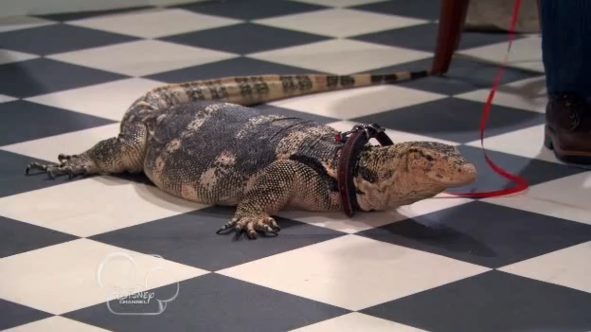 The Talented Mr. Kipling Disney Wiki Fandom