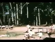 The Amazon Awakens.jpg (14 KB)