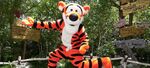 Tiggerdisneyparks